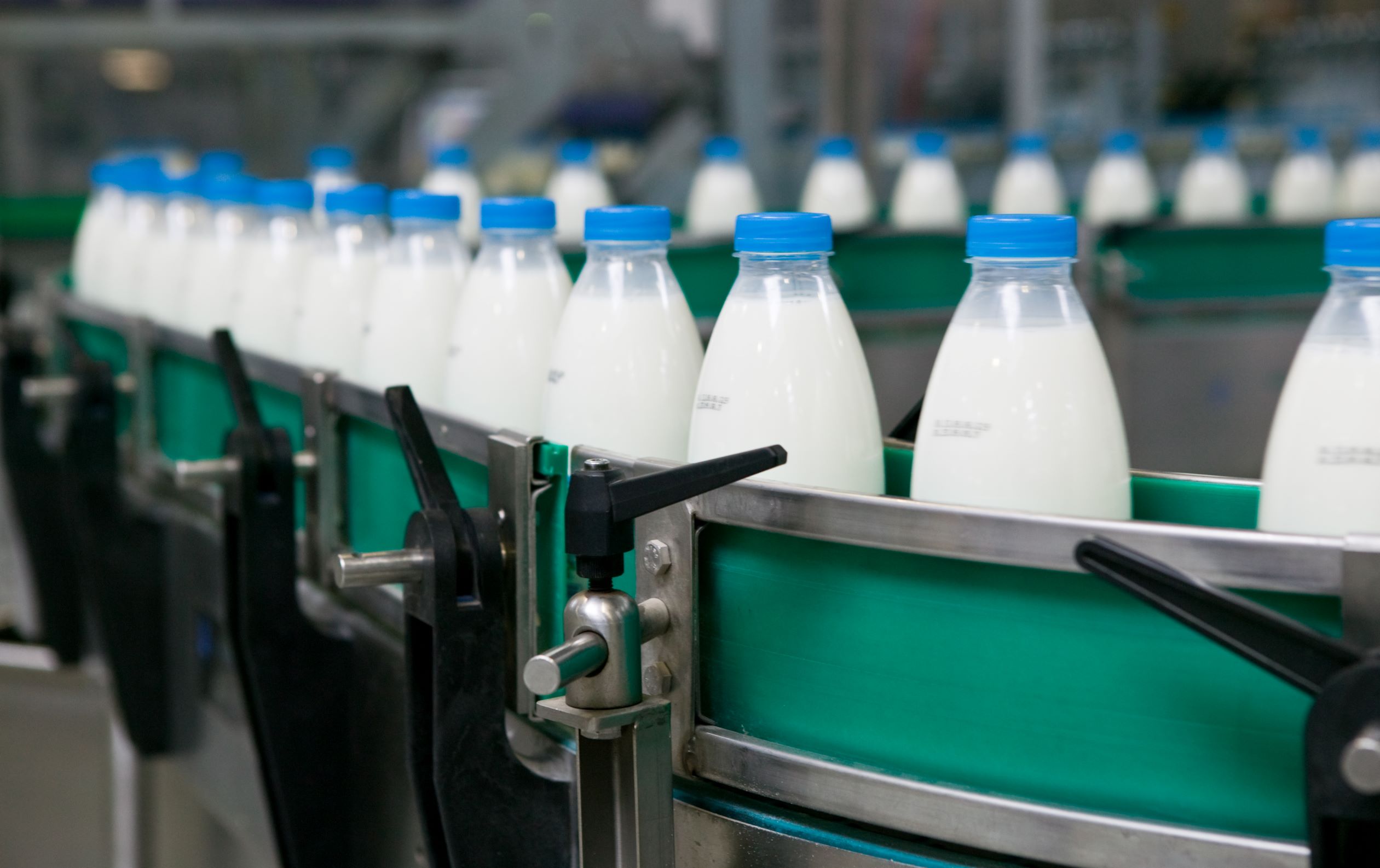 Argentina: La producción de leche podría aumentar 2,5% en 2021