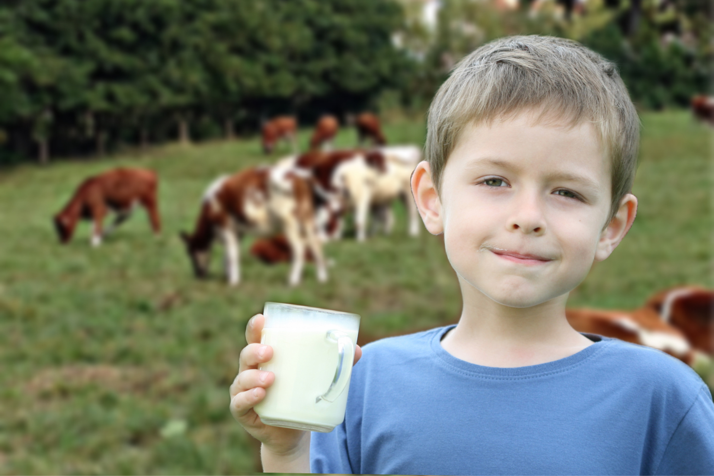 Su majestad, la leche 