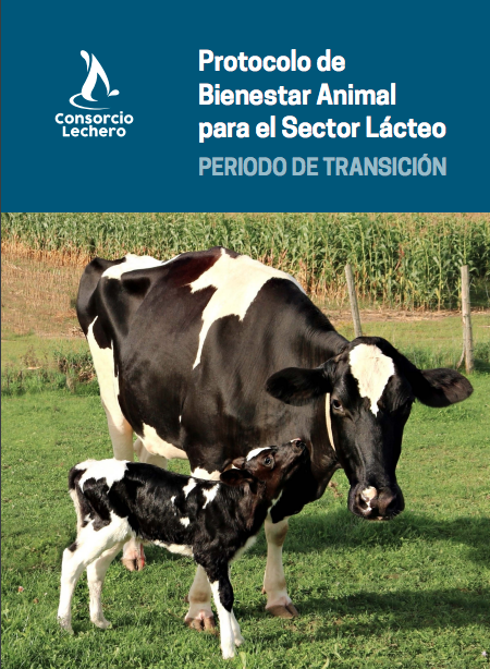 Captura%20de%20pantalla%202024 09 16%20a%20la(s)%2009 52 01