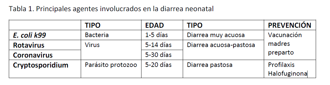 Tabla

Descripción generada automáticamente